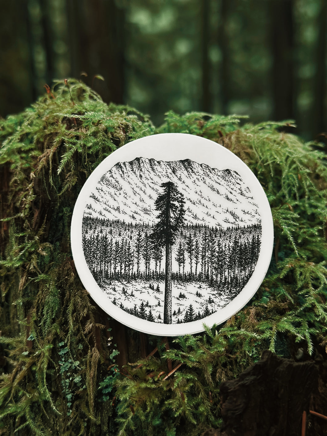 Moments of the Northwest, ‘Big Lonely Doug’ Sticker