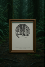 Load image into Gallery viewer, Cathedral Grove, BC - Moments of the Northwest Collection
