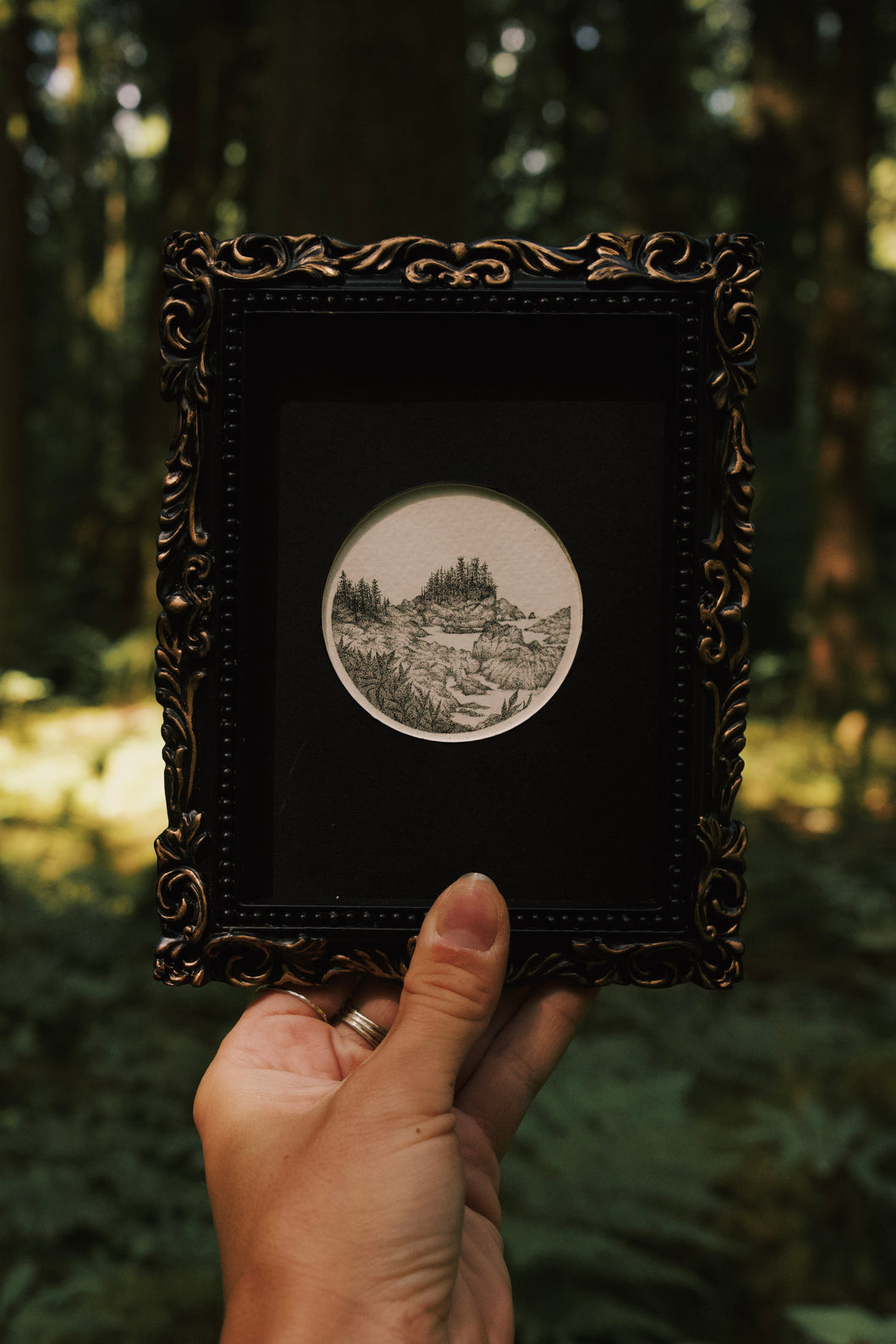 Wild Pacific Trail, Ucluelet BC Framed Original