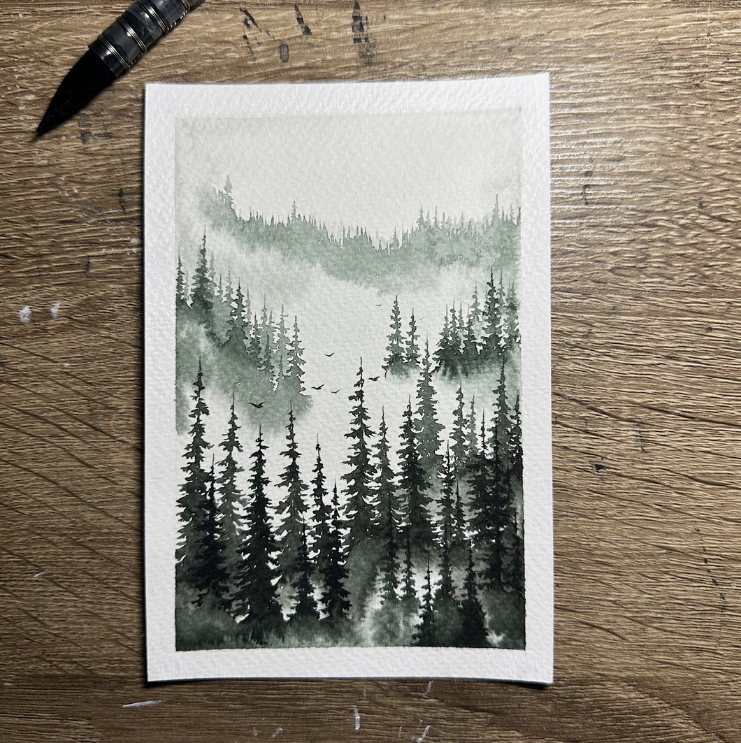 ‘Rising Through the Canopy’