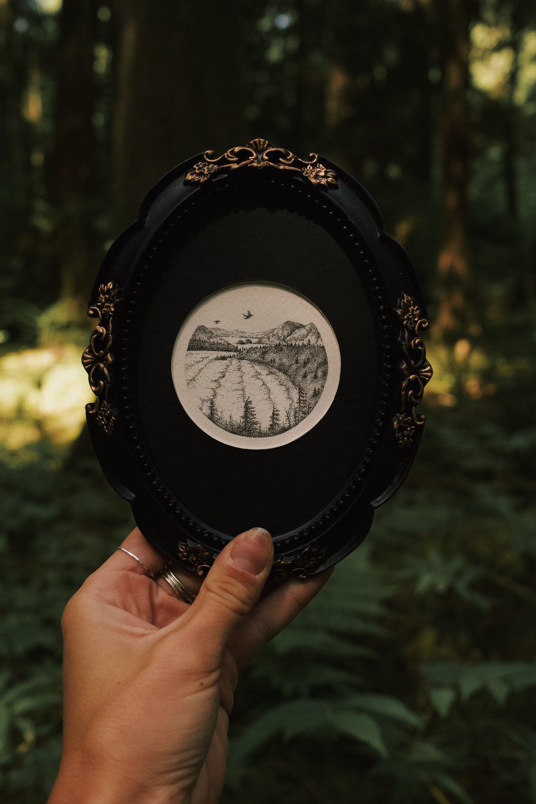 Cox Bay, Tofino BC Original Framed